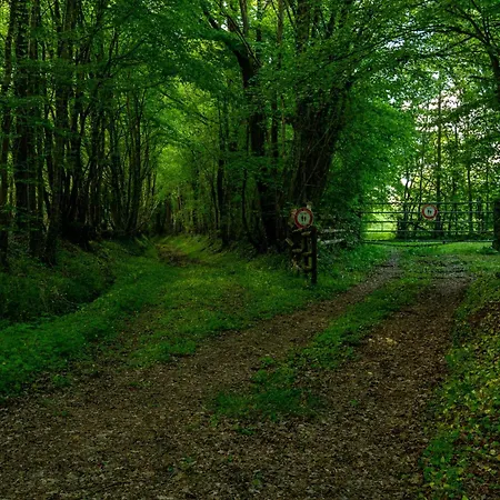 Maisonnette D Hotes Cascade Au Coeur Du Perche Pensionat 4*