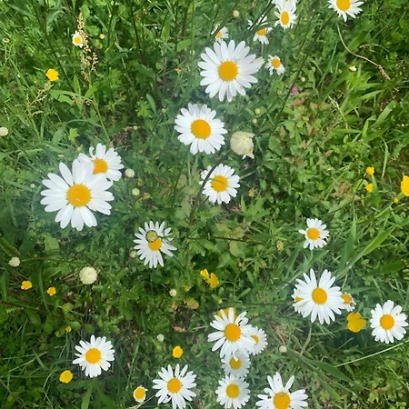 Maisonnette D Hotes Cascade Au Coeur Du Perche 4*