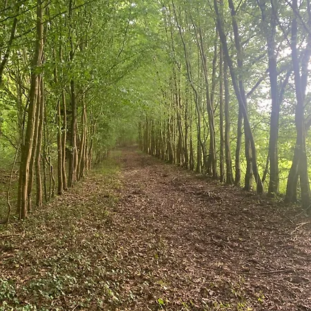Pensionat Maisonnette D Hotes Cascade Au Coeur Du Perche Rémalard