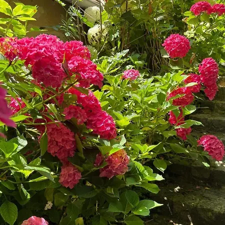 Maisonnette D Hotes Cascade Au Coeur Du Perche