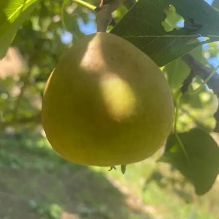 Maisonnette D Hotes Cascade Au Coeur Du Perche Pensionat 4*