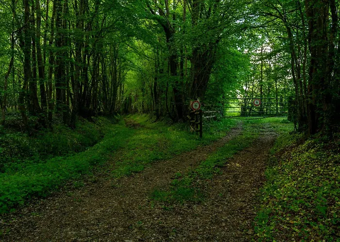 Maisonnette D Hotes Cascade Au Coeur Du Perche בית הארחה 4*