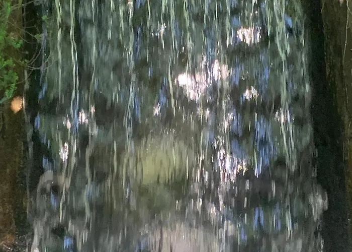 Maisonnette D Hotes Cascade Au Coeur Du Perche בית הארחה