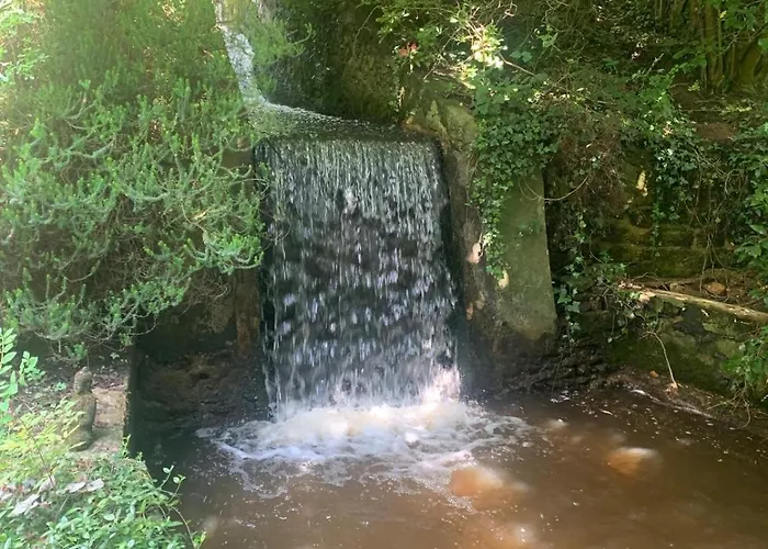 Maisonnette D Hotes Cascade Au Coeur Du Perche בית הארחה