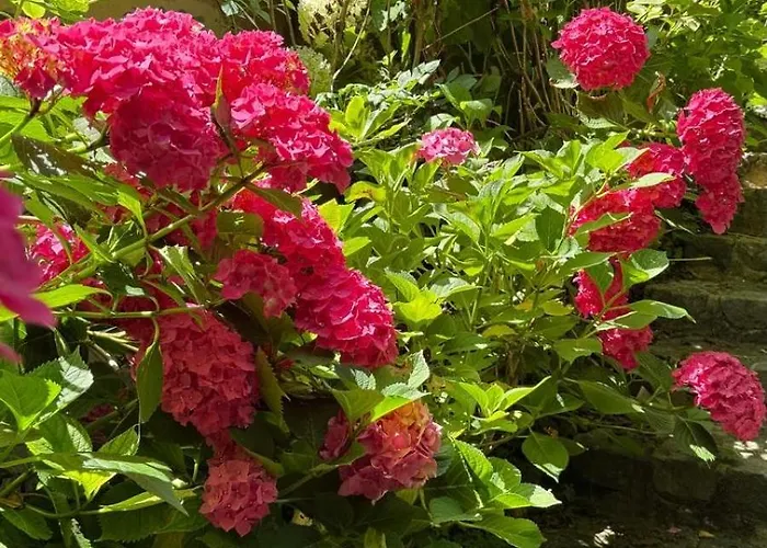 בית הארחה Maisonnette D Hotes Cascade Au Coeur Du Perche Rémalard