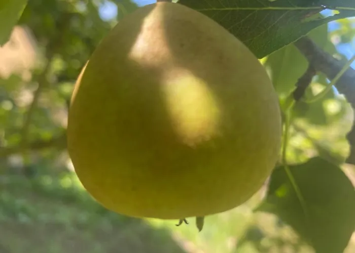 Maisonnette D Hotes Cascade Au Coeur Du Perche בית הארחה 4*